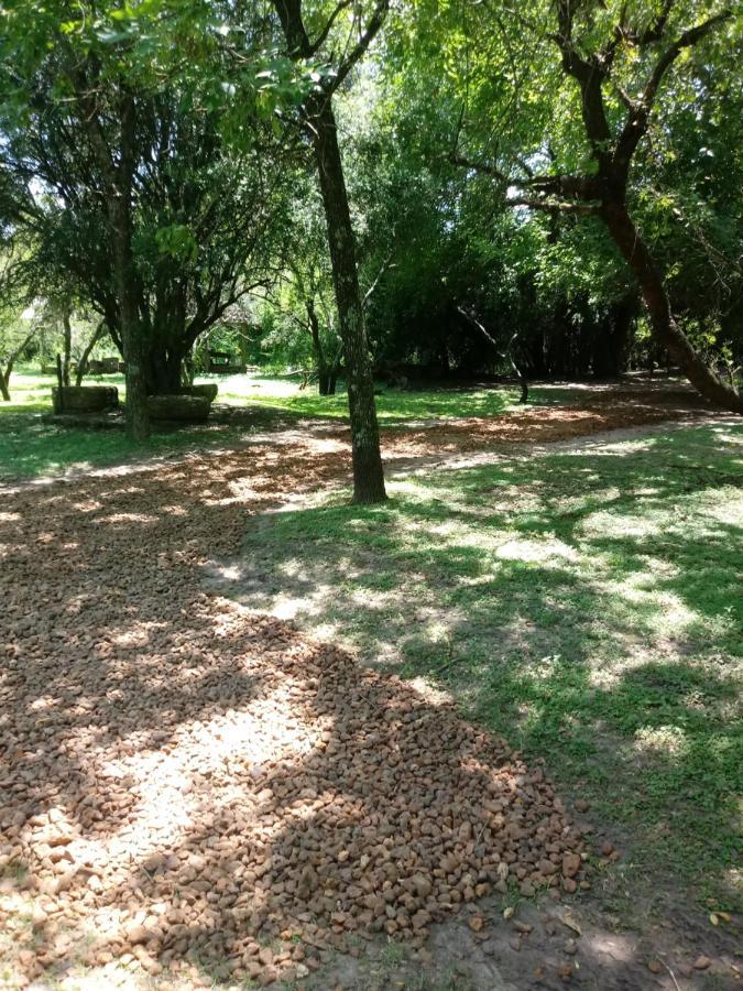 Casa-bosque-arroyo Holiday home Colon (Entre Rios)
