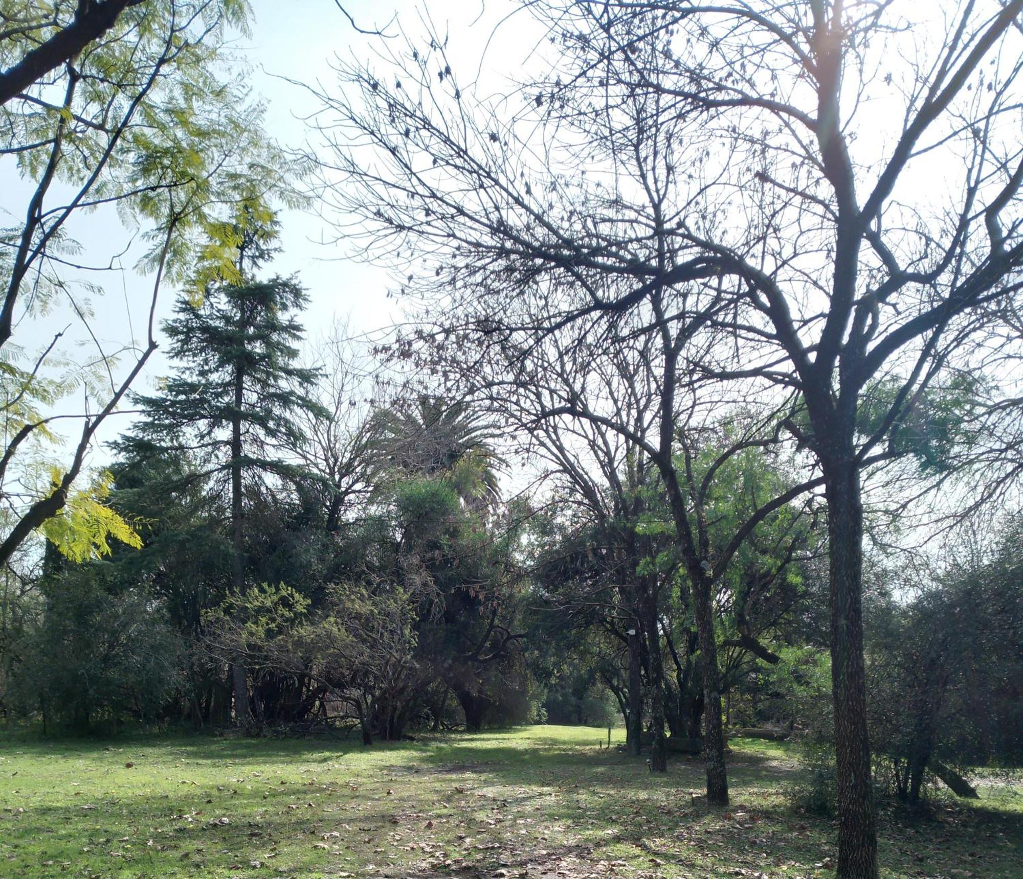 Casa-bosque-arroyo Holiday home *